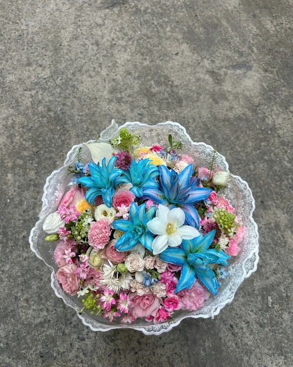 Xanh hồng · Lily nhuộm