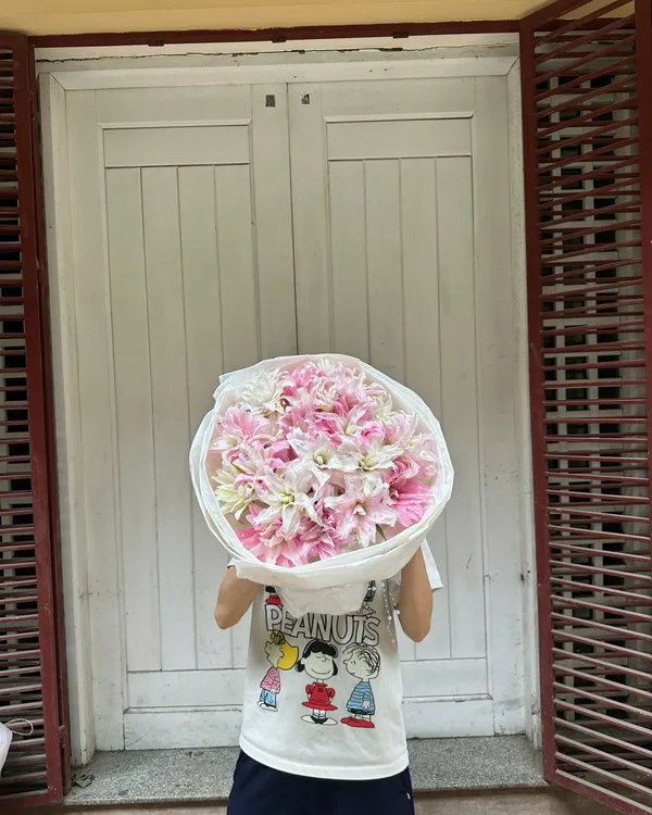 Hồng phấn · Bó tròn