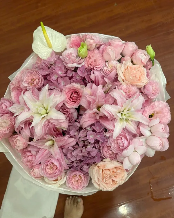 Hồng · Cẩm tú cầu