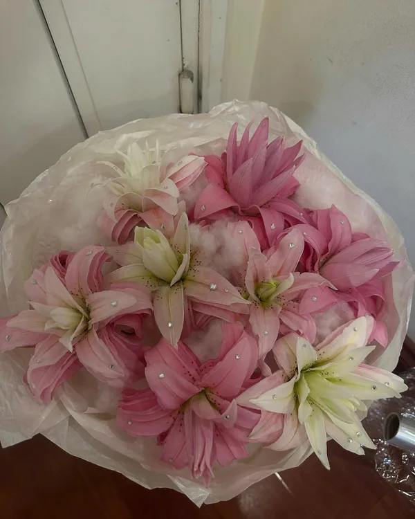 Hồng trắng · Lily