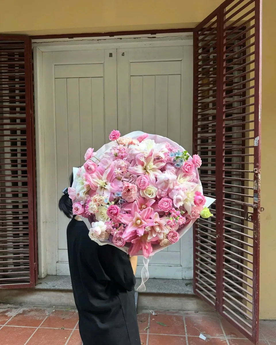 Hồng phấn · Cẩm chướng