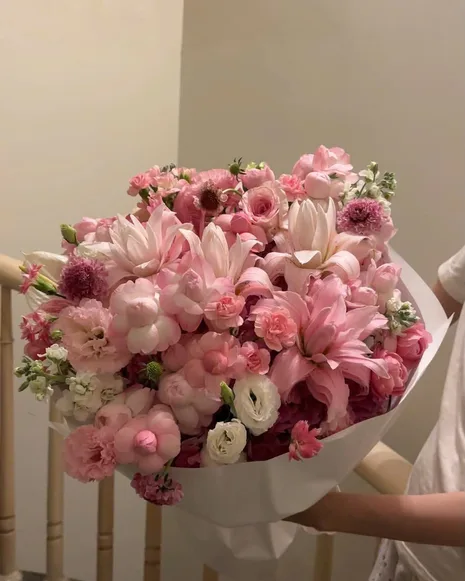 Hồng phấn ·