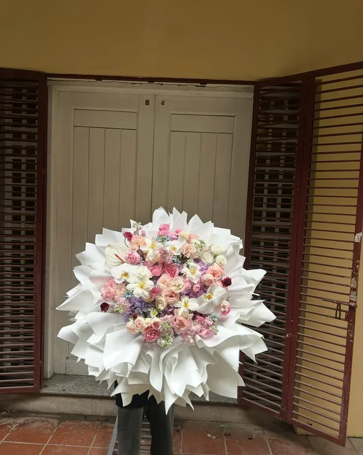Hồng trắng · Giấy cánh trắng