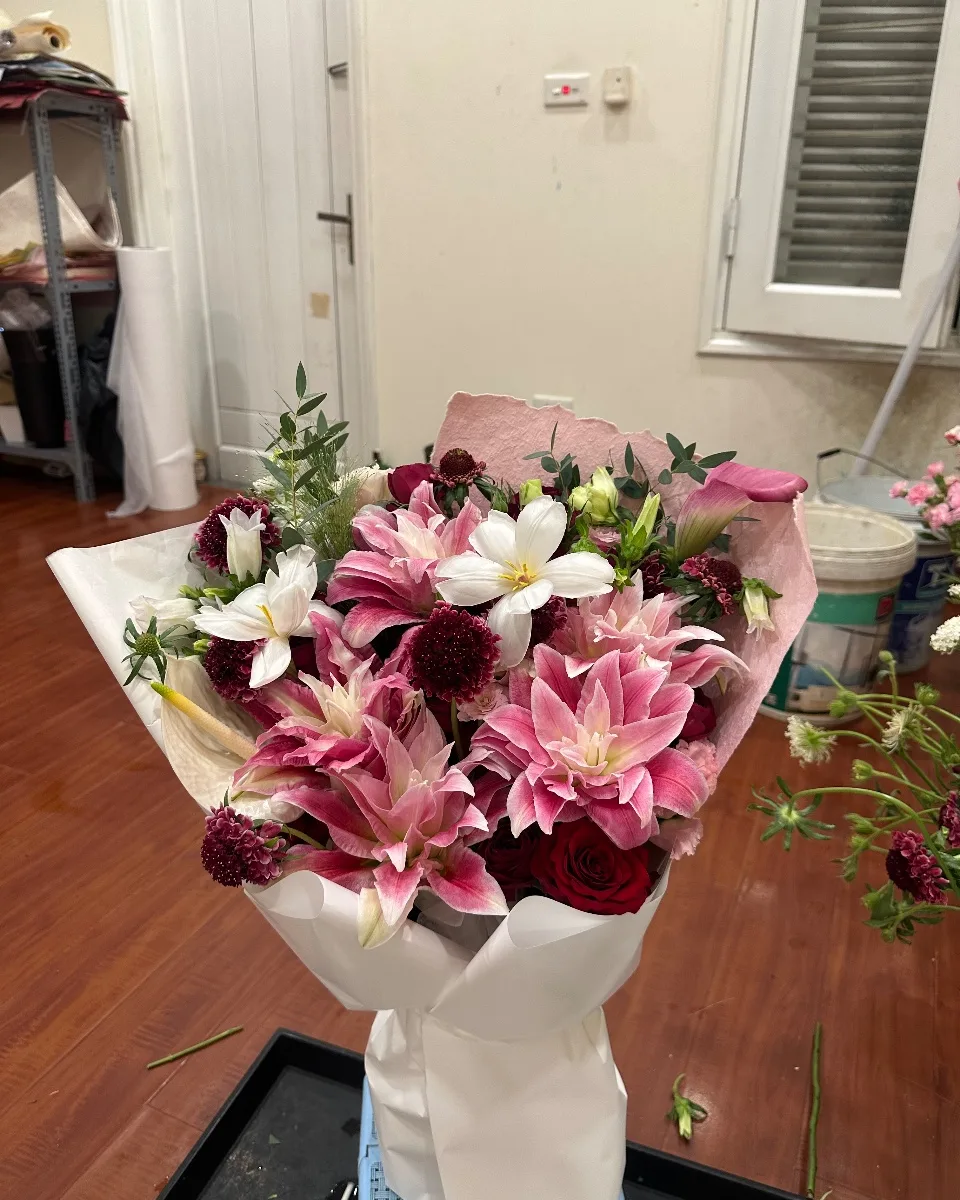 Đỏ mix Cala